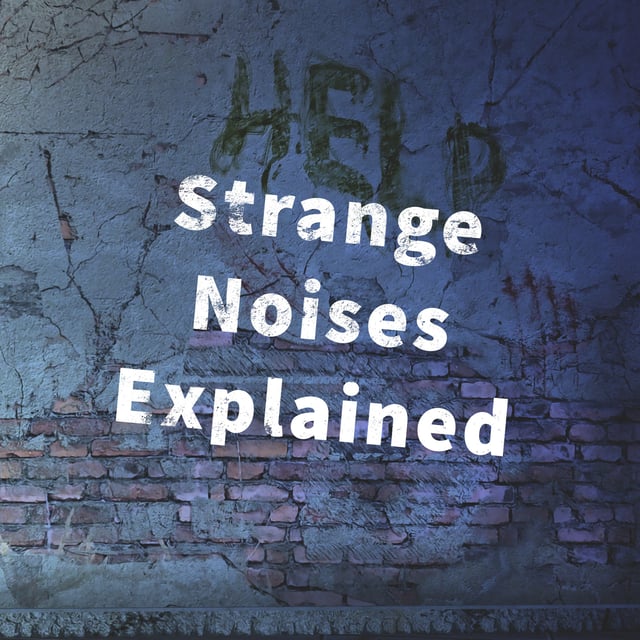 Strange Noises Explained